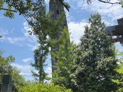 -上海佘山国家森林公园天马山园