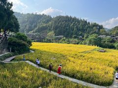 -程阳八寨景区