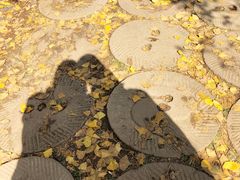 -千年银杏谷文化旅游区
