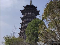 -洋湖国家湿地公园