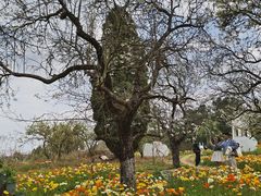 -名花谷生态庄园