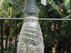 -海底捞火锅(江南盛天地店)