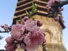 -玲珑塔公园