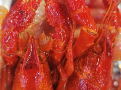 -草本味·市井羊肉馆(新开铺总店)