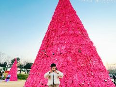 -大塘金香草谷