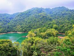 -鼎湖山风景区
