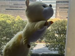 -BIG PINK大粉娃娃机主题馆(圆融星座店)