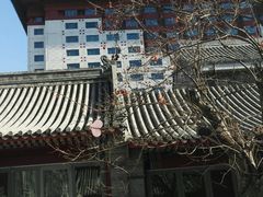 景观位-止观小馆·辽河口渔家菜(王府井店)