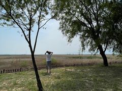 -野鸭湖国家湿地公园