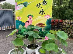 -嘉北郊野公园