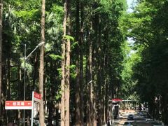 -岳麓山风景名胜区