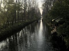 -合肥滨湖国家森林公园