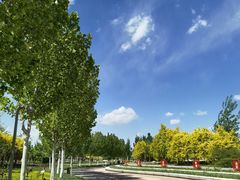 -武清南湖绿博园