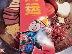 -谭鸭血老火锅(万象九宜城店)