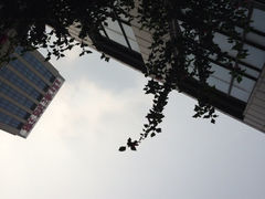 外景-济南喜来登酒店