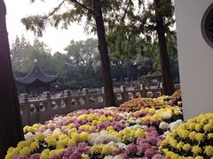 -汇龙潭