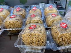 -白玉兰食品(中山公园龙之梦店)