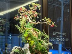 -双合园·海鲜水饺青岛菜(品牌首店)