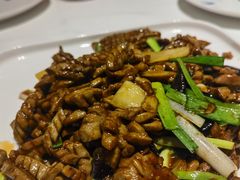 -金春禧(世茂国际广场店)