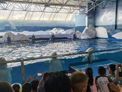 -秦皇岛乐岛海洋王国