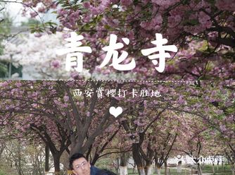 西安青龙寺乐游原踏青赏樱好地