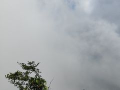 -庐山风景区花径公园