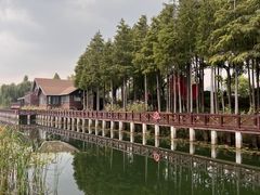 -苏州太湖湖滨国家湿地公园