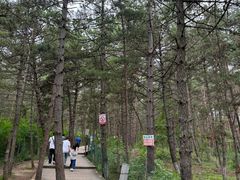 -帽儿山国家森林公园