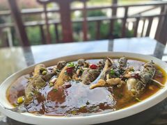 -呼吸森林·生态农庄农家乐私房菜