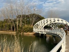 -同里国家湿地公园