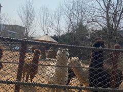 -大连森林动物园