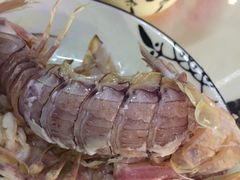 -渡海小渔村.老辈日照菜