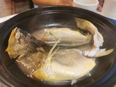 泉水黄花鱼-锦園(伊势丹美食城店)