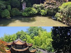 -杭州黄龙洞