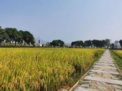 -光明小镇欢乐田园