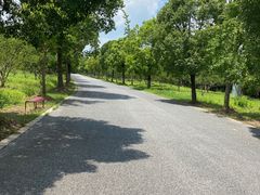 -上海海湾国家森林公园