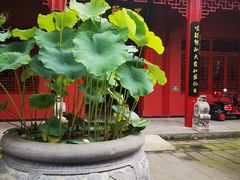 -南岳明心寺