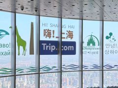 -上海中心大厦