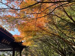 -北山街历史文化街区