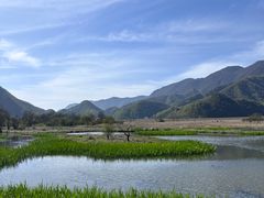 -大九湖
