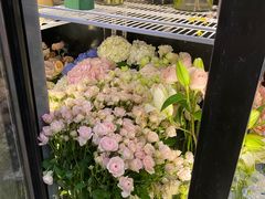 -知物癖(牛王庙店)