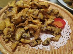 -大家乐东北菜(富河园店)