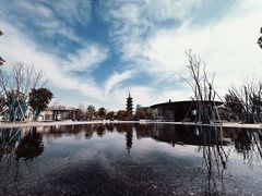 -龙华寺