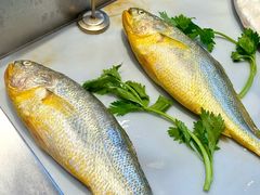 -阿诚市井潮汕菜(金台路店)