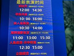 -合肥海洋世界
