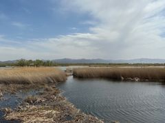 -野鸭湖国家湿地公园