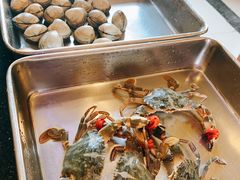 -鲜鲜·鲅鱼圈海鲜(于洪店)