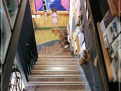 -晓风书屋(大学路店)