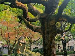-上海兴国宾馆香樟园西餐厅