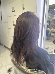 -镁连社·美联社